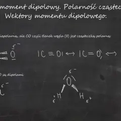 Co to jest wektor w biologii? Klucz do inżynierii genetycznej