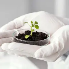 Jakie studia po biologii? Odkryj najlepsze kierunki i możliwości kariery