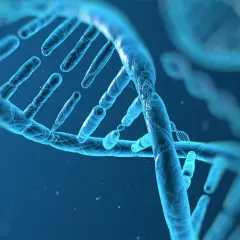 Biologia: Czym jest genetyka i dlaczego ma znaczenie dla życia?