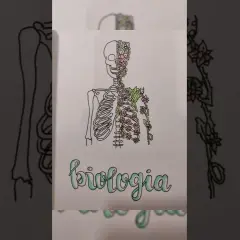 Jak ozdobić zeszyt do biologii, aby był wyjątkowy i inspirujący