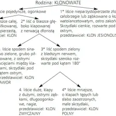 Biologia co to jest: Klucz do zrozumienia życia i organizmów