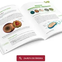 Gdzie wypożyczyć podręczniki do biologii dla 5 klasy i oszczędzić?