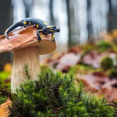 Po jakich studiach można uczyć biologii? Odkryj nieznane ścieżki kariery