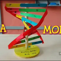 Jak zrobić DNA na biologie - proste kroki do udanego modelu