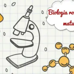 Czy rozszerzona biologia jest trudna? Sprawdź, jak sobie z nią poradzić na maturze