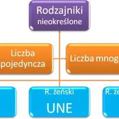 Rodzajniki nieokreślone francuski – jak ich używać i unikać błędów
