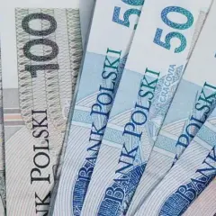 Ile naprawdę zarabia nauczyciel biologii w Polsce? Sprawdź fakty!