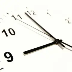 Ile trwa matura rozszerzona z biologii? Kluczowe informacje i porady