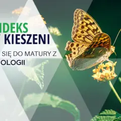 Jak przygotować się do matury z biologii i uniknąć stresu