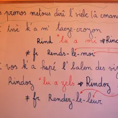 Gramatyka francuskiego: Kluczowe zasady i najczęstsze błędy