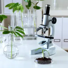 Biologia sądowa czy warto? Odkryj korzyści i możliwości kariery