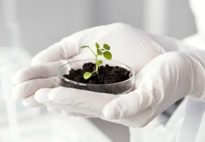 Jakie studia po biologii? Odkryj najlepsze kierunki i możliwości kariery