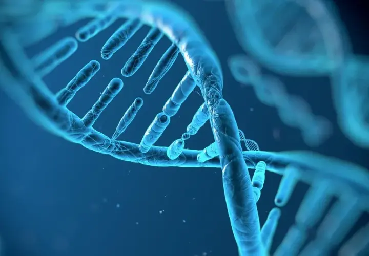 Biologia: Czym jest genetyka i dlaczego ma znaczenie dla życia?