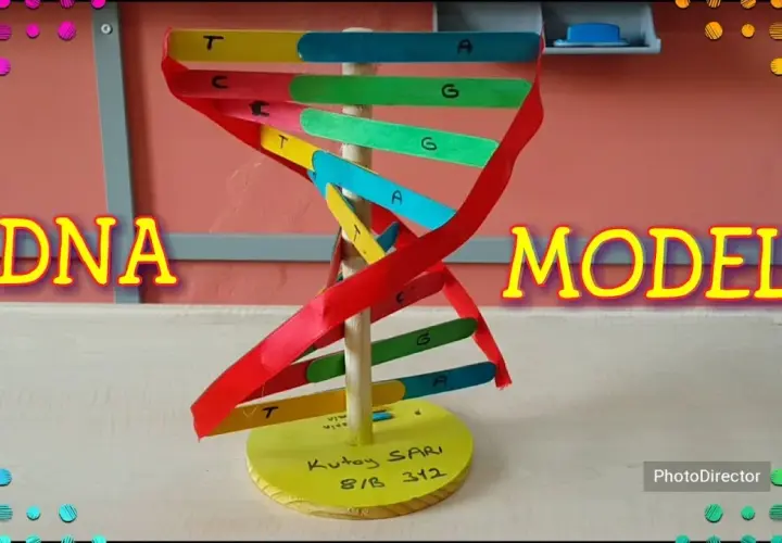 Jak zrobić DNA na biologie - proste kroki do udanego modelu