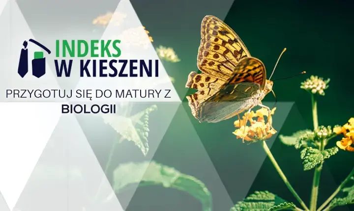 Jak przygotować się do matury z biologii i uniknąć stresu