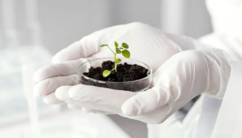 Jakie studia po biologii? Odkryj najlepsze kierunki i możliwości kariery