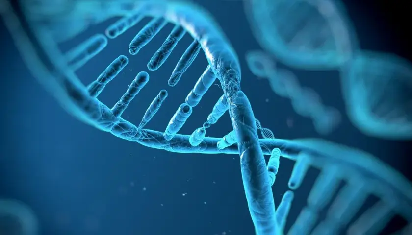 Biologia: Czym jest genetyka i dlaczego ma znaczenie dla życia?