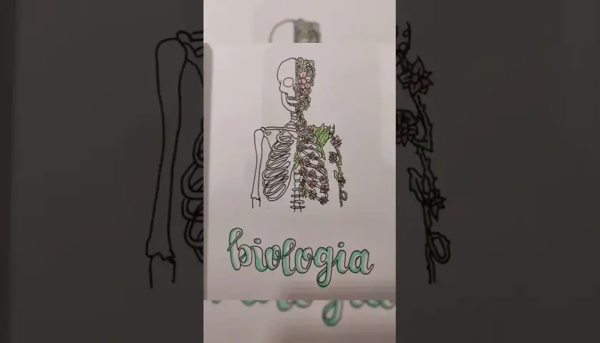 Jak ozdobić zeszyt do biologii, aby był wyjątkowy i inspirujący