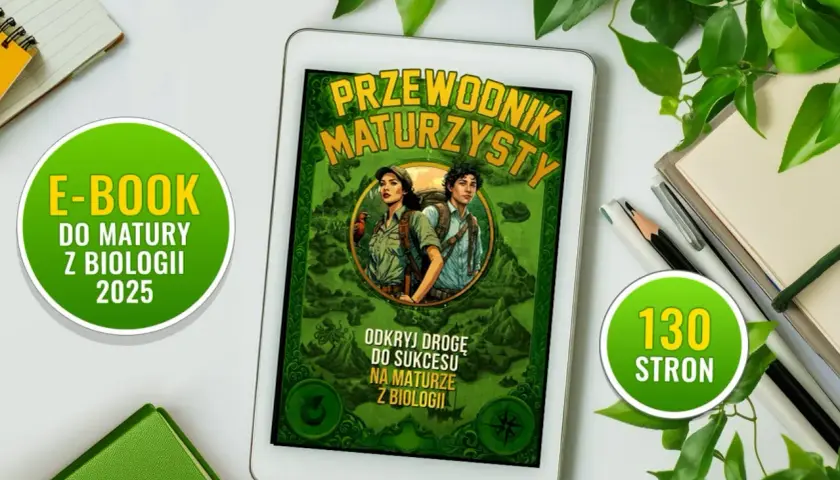 Tablet z okładką e-booka "Przewodnik Maturzysty" i zielonymi elementami graficznymi.