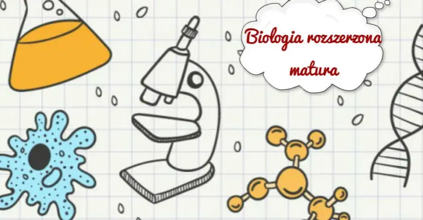 Czy rozszerzona biologia jest trudna? Sprawdź, jak sobie z nią poradzić na maturze