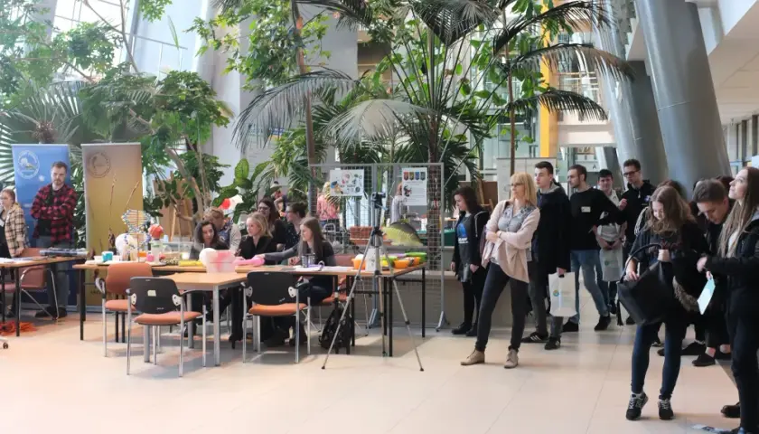 Jakie są dziedziny biologii? Poznaj główne nauki biologiczne i ich zastosowania