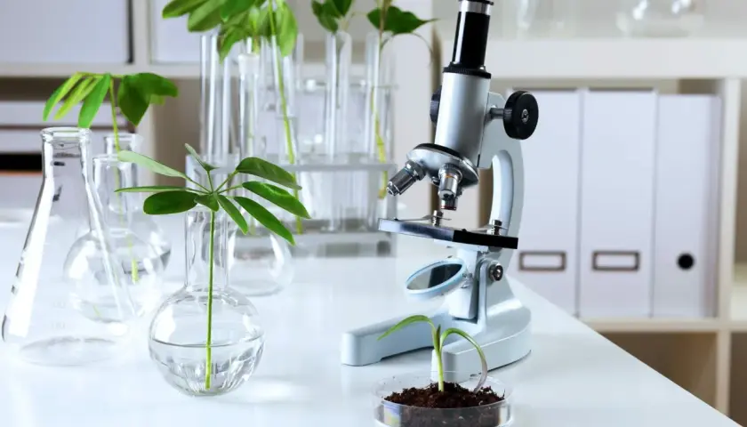 Biologia sądowa czy warto? Odkryj korzyści i możliwości kariery