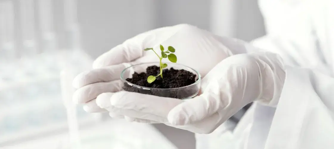 Jakie studia po biologii? Odkryj najlepsze kierunki i możliwości kariery